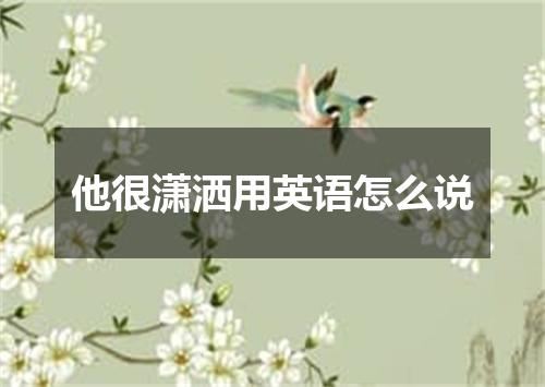 他很潇洒用英语怎么说