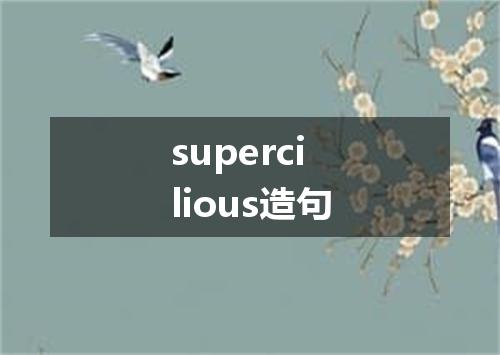 supercilious造句
