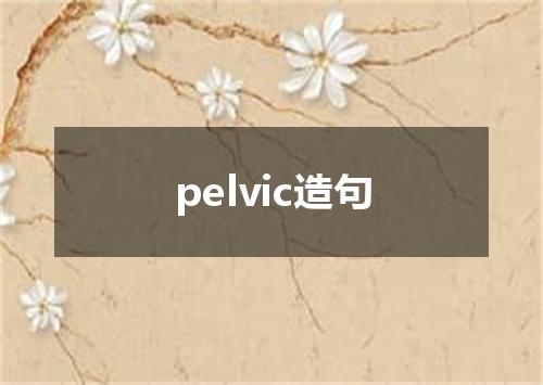 pelvic造句