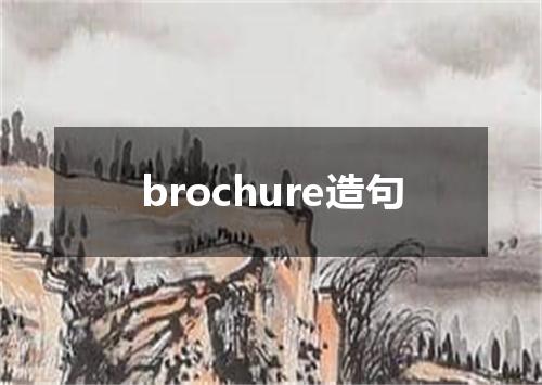 brochure造句