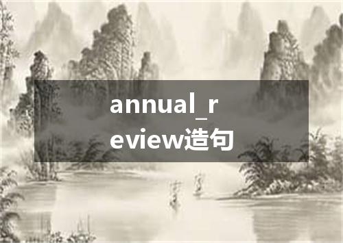 annual_review造句