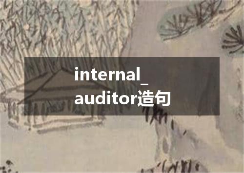 internal_auditor造句