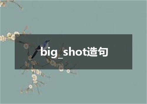 big_shot造句
