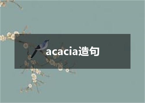 acacia造句