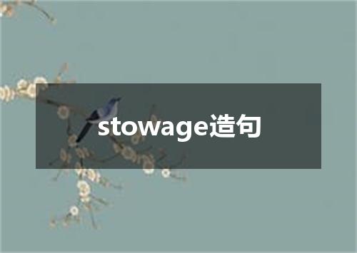 stowage造句
