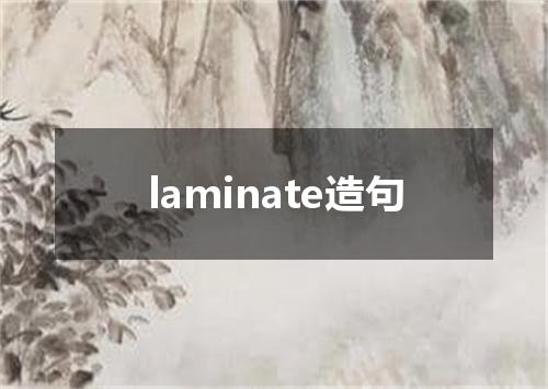 laminate造句