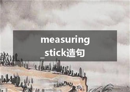 measuring_stick造句