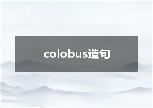 colobus造句