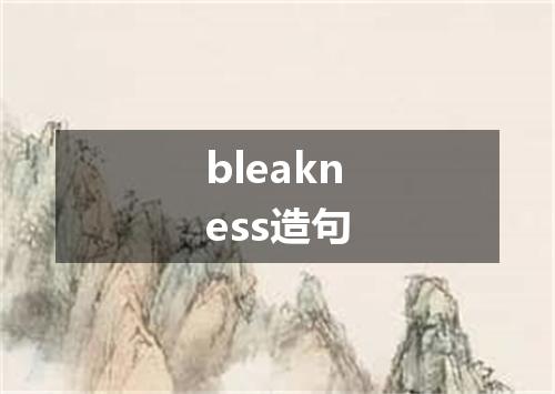 bleakness造句