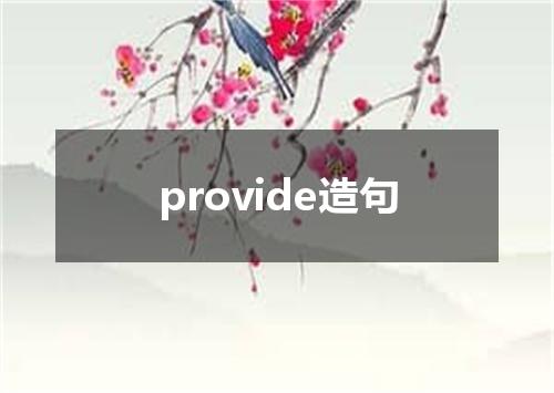 provide造句