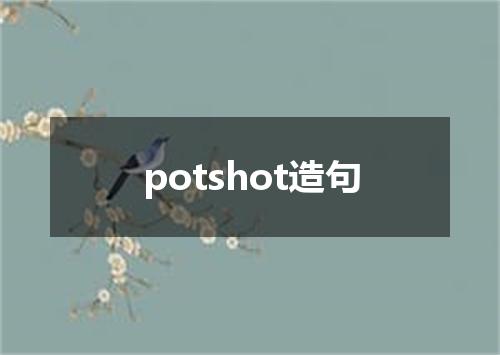 potshot造句