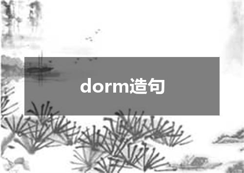 dorm造句