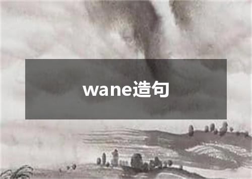 wane造句