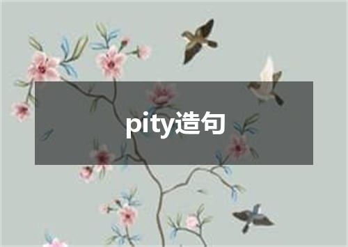 pity造句