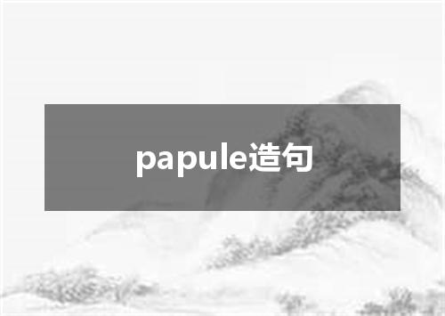 papule造句