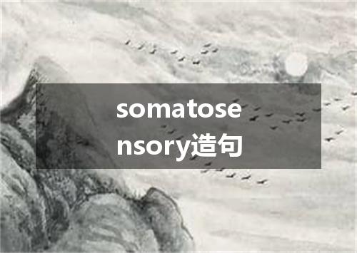 somatosensory造句