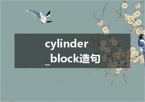cylinder_block造句
