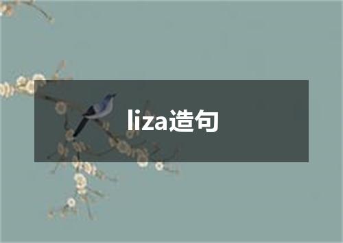 liza造句