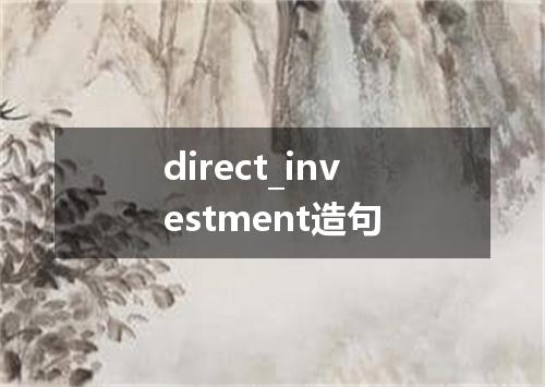 direct_investment造句