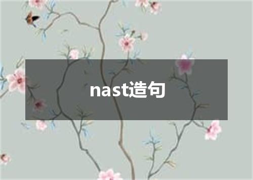 nast造句