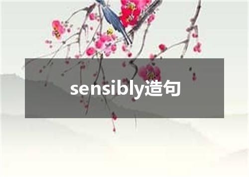 sensibly造句