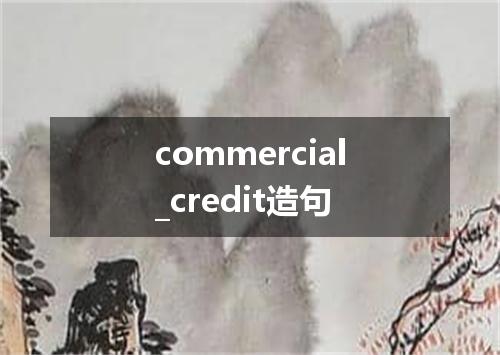 commercial_credit造句