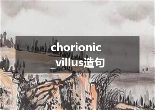 chorionic_villus造句