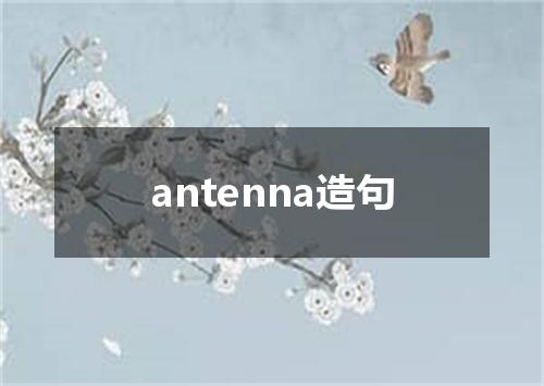 antenna造句