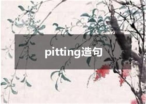 pitting造句