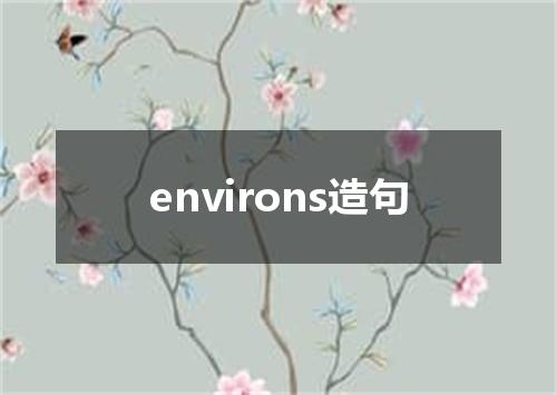 environs造句