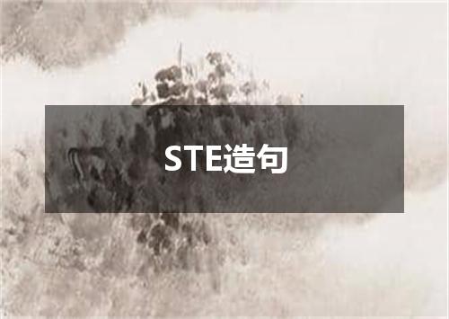STE造句