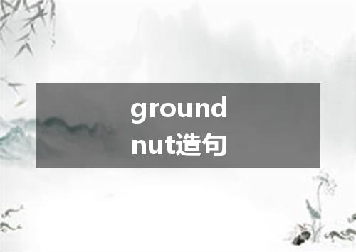 groundnut造句