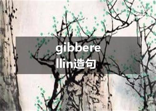 gibberellin造句