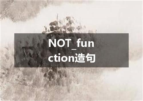 NOT_function造句