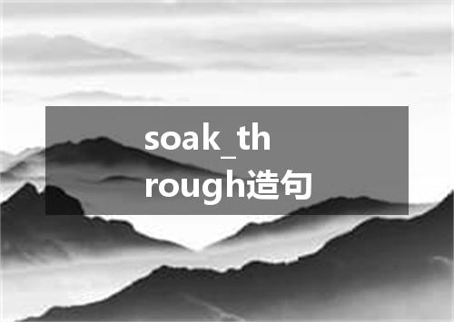 soak_through造句