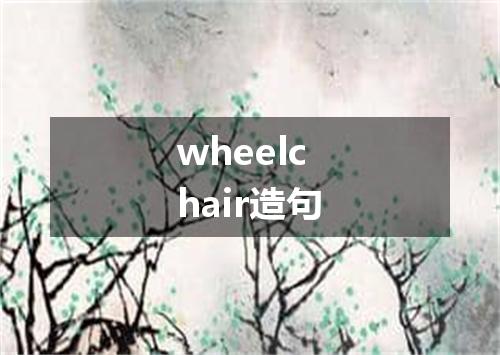 wheelchair造句