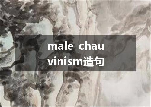 male_chauvinism造句