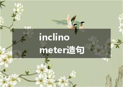 inclinometer造句