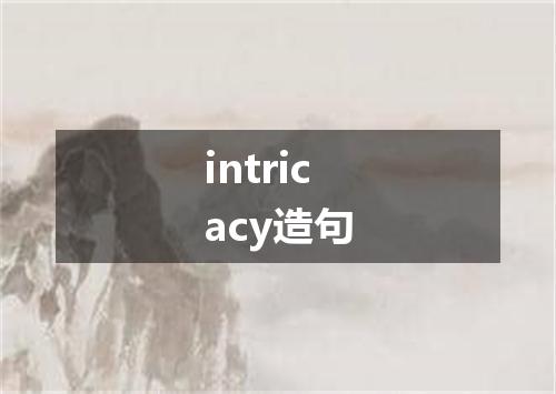 intricacy造句