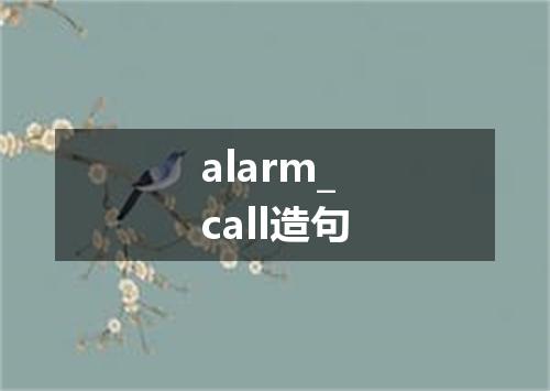 alarm_call造句