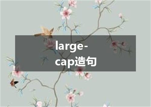 large-cap造句
