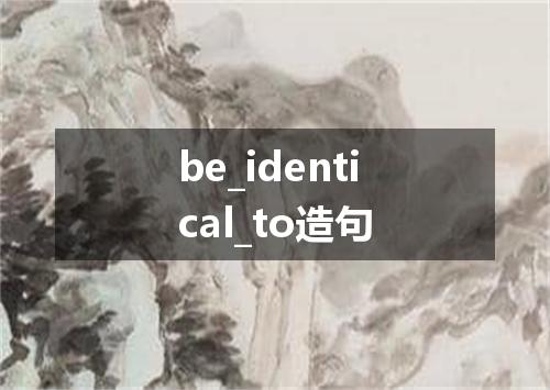 be_identical_to造句