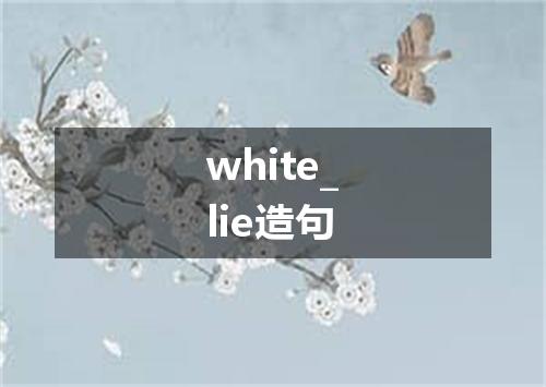 white_lie造句