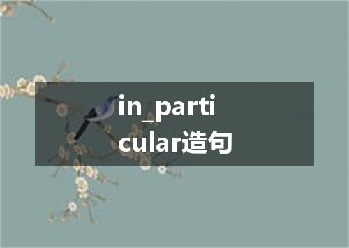 in_particular造句
