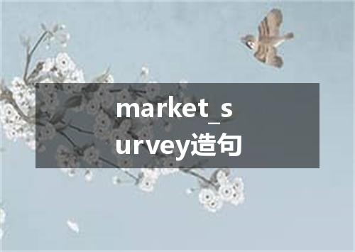 market_survey造句