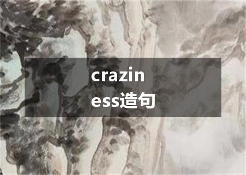 craziness造句