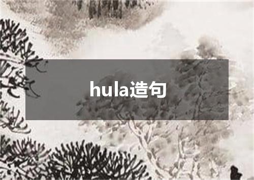 hula造句