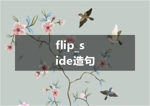 flip_side造句