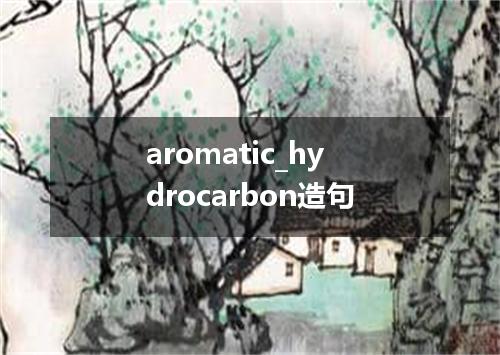 aromatic_hydrocarbon造句
