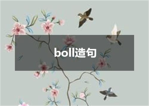 boll造句